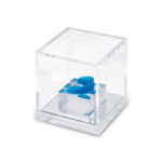 Teca espositiva in plexiglass